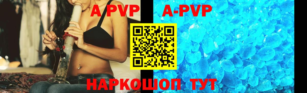 A PVP СК Шелехов